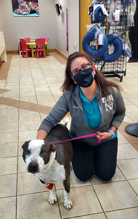 Silverlake Animal Hospital Picture 9