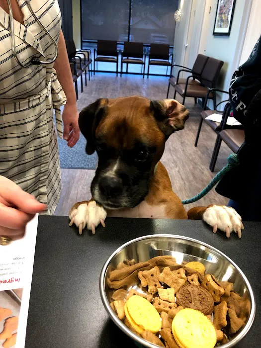 Pearland Animal Cancer and Referral Center Picture 8