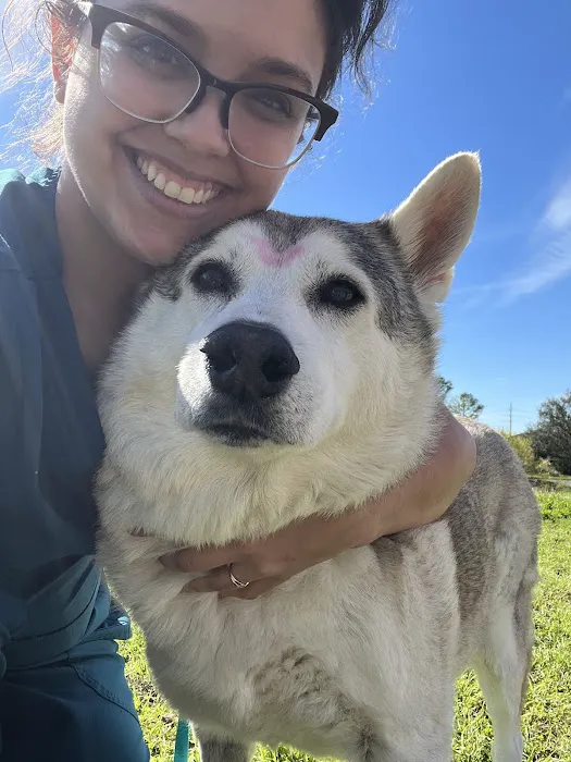 Pearland Animal Cancer and Referral Center Picture 10