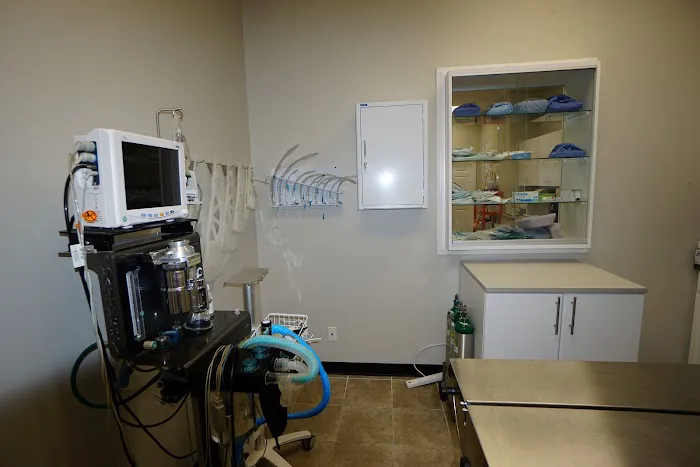 Veterinary Clinic of Pearland Picture 2