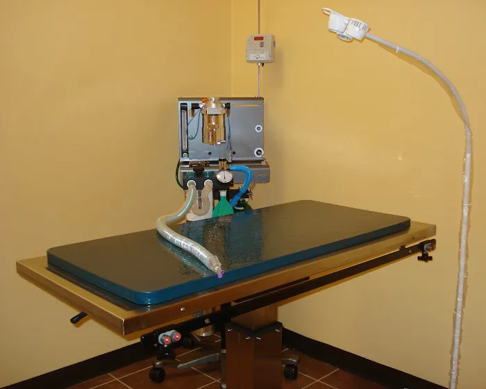 Veterinary Clinic of Pearland Picture 10