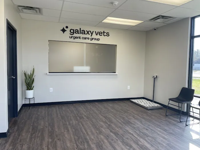 Houston Veterinary Walk-in & Urgent Care Picture 4