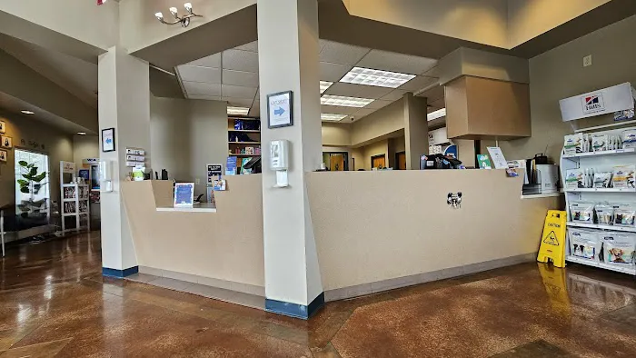 VCA Animal Medical Center of Pasadena Picture 5