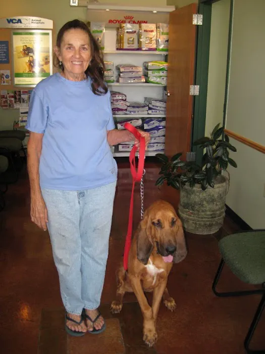 VCA Animal Medical Center of Pasadena Picture 8