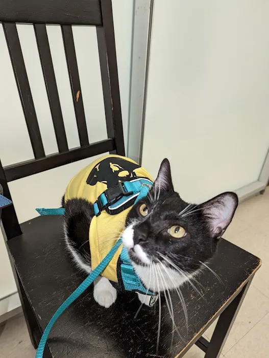 Pet Check Animal Clinic Picture 8