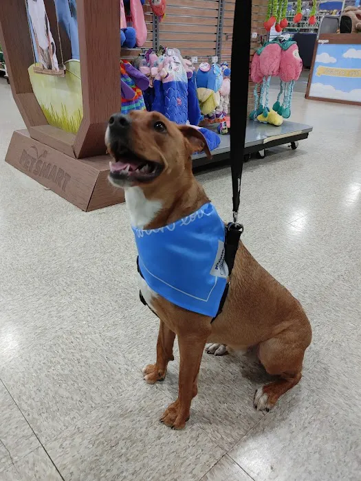 Banfield Pet Hospital Picture 1