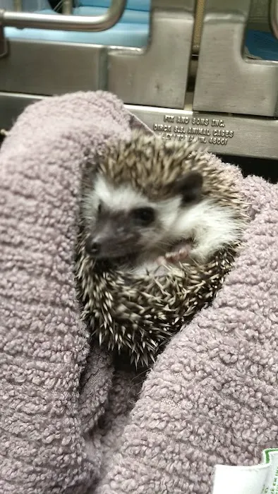 All Creatures Vet Clinic Picture 1