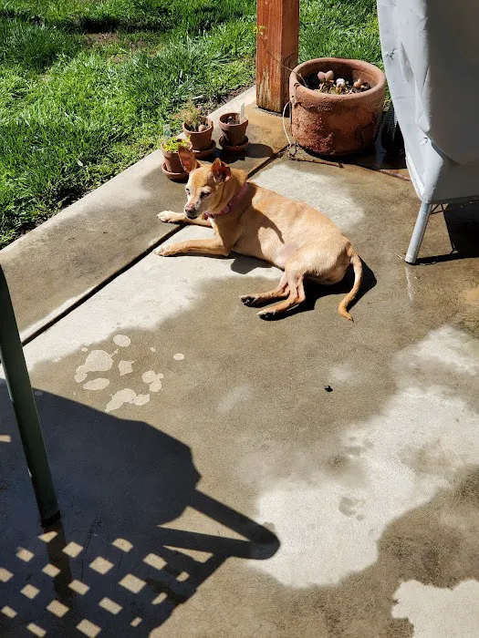 All Creatures Vet Clinic Picture 4