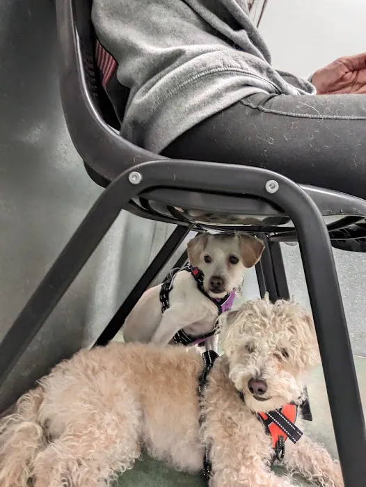 All Creatures Vet Clinic Picture 10
