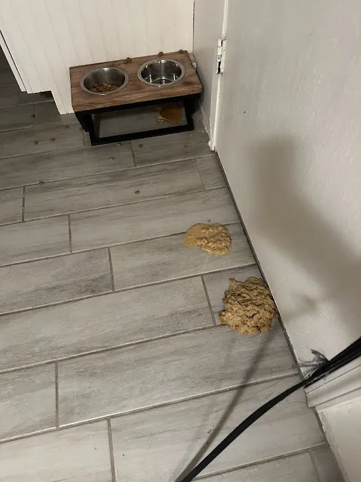 Pamoist Pet Hospital Picture 5