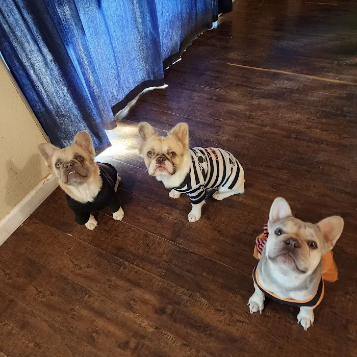 Pamoist Pet Hospital Picture 7
