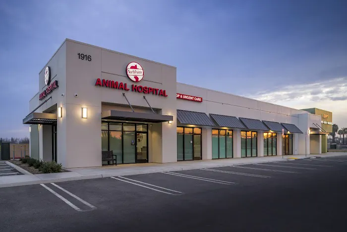 Northpointe Animal Hospital Picture 1