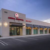 Northpointe Animal Hospital ico