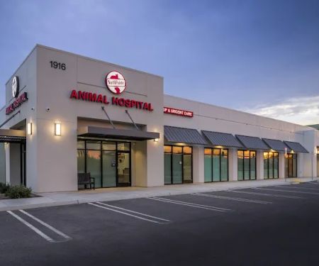 Northpointe Animal Hospital