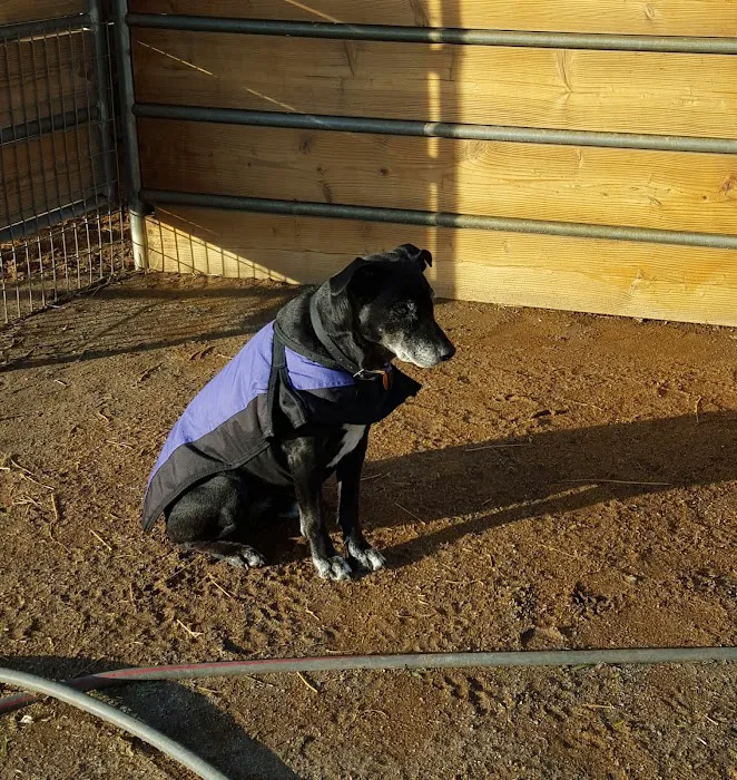 Valley View Veterinary Hospital Picture 2