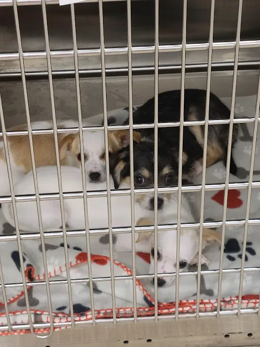 Valley View Veterinary Hospital Picture 3