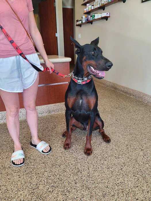 Valley View Veterinary Hospital Picture 5