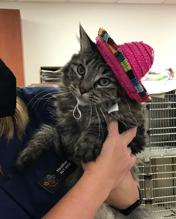 Valley View Veterinary Hospital Picture 6
