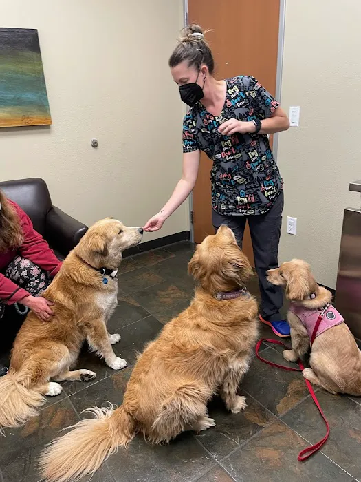 Foothill Farms Veterinary Hospital Picture 8