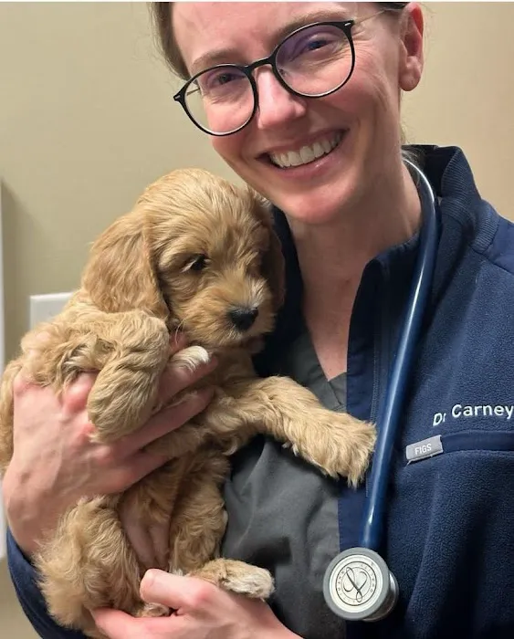 Foothill Farms Veterinary Hospital Picture 9