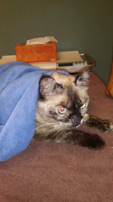 Foothill Farms Veterinary Hospital Picture 10