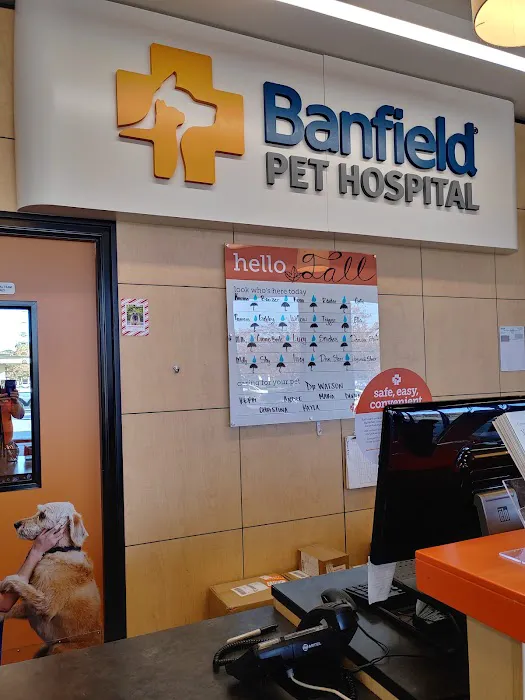 Banfield Pet Hospital Picture 4