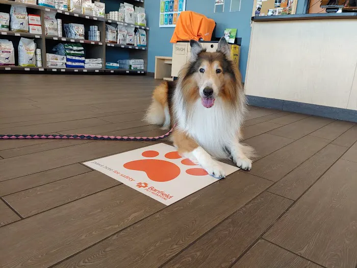 Banfield Pet Hospital Picture 7
