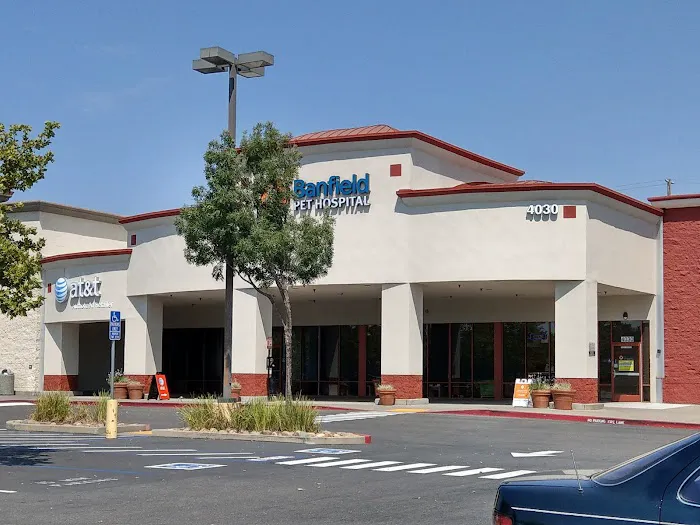 Banfield Pet Hospital Picture 10