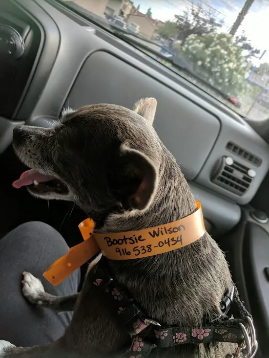 Banfield Pet Hospital Picture 8