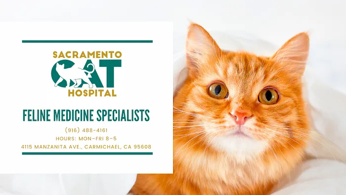 Sacramento Cat Hospital Picture 3