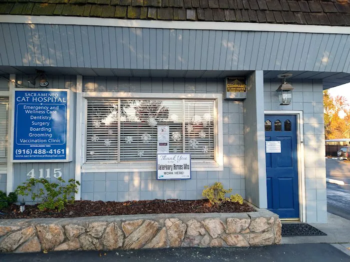 Sacramento Cat Hospital Picture 5