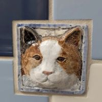 BLUE CROSS PET HOSPITAL ico
