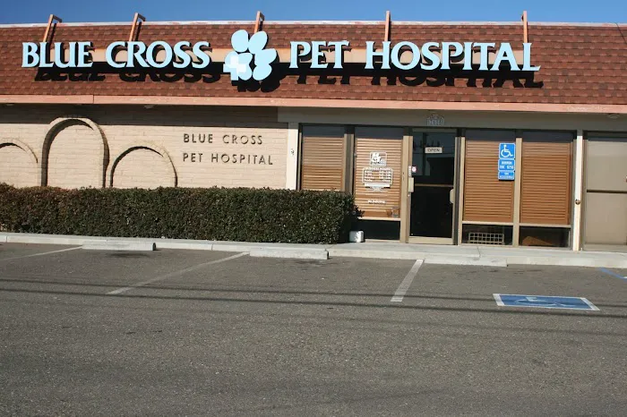BLUE CROSS PET HOSPITAL Picture 3