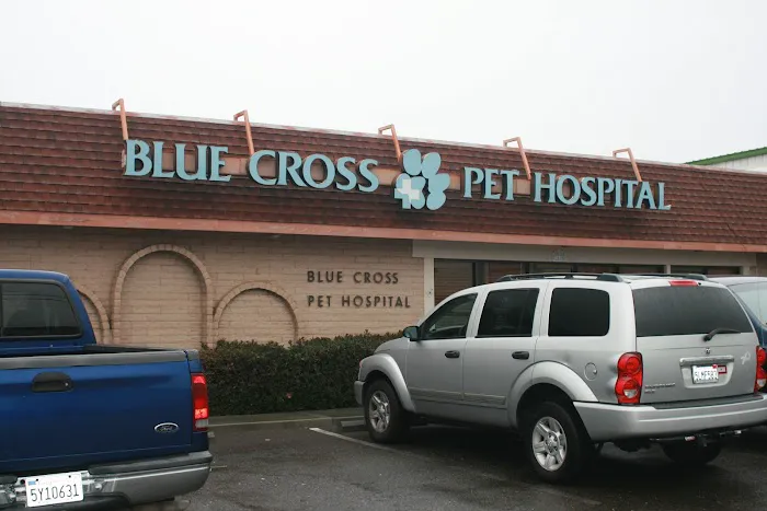 BLUE CROSS PET HOSPITAL Picture 5