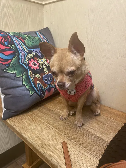 BLUE CROSS PET HOSPITAL Picture 8