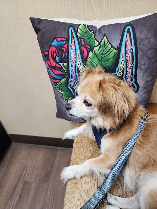 BLUE CROSS PET HOSPITAL Picture 9