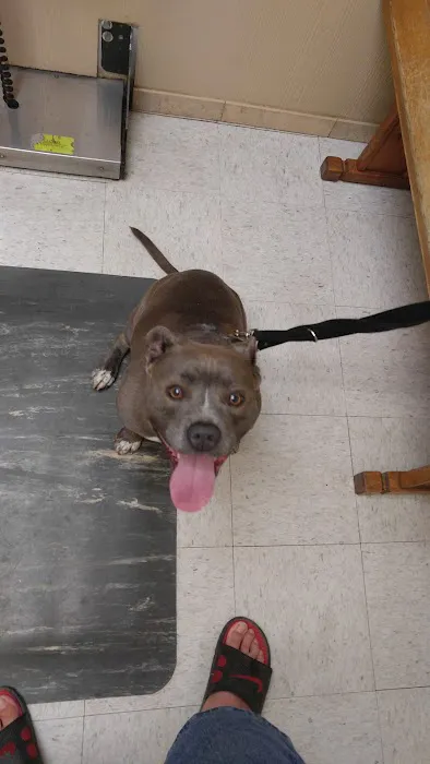 BLUE CROSS PET HOSPITAL Picture 10