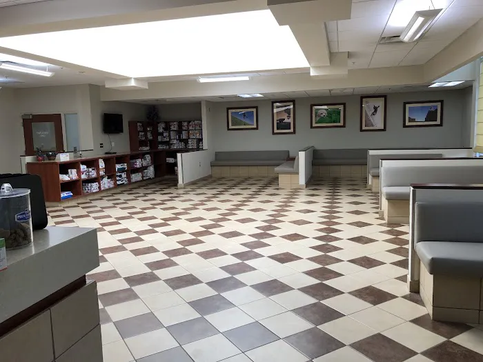 VCA Sacramento Veterinary Referral Center Picture 3