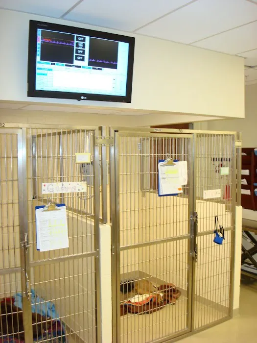 VCA Sacramento Veterinary Referral Center Picture 10