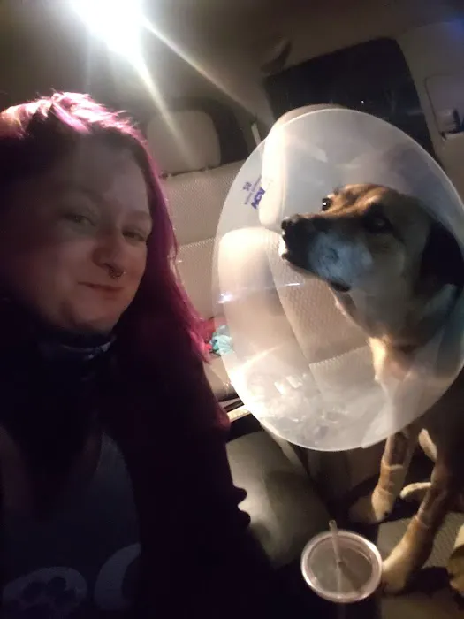Sacramento Veterinary Referral: Hammond Genevieve DVM Picture 10
