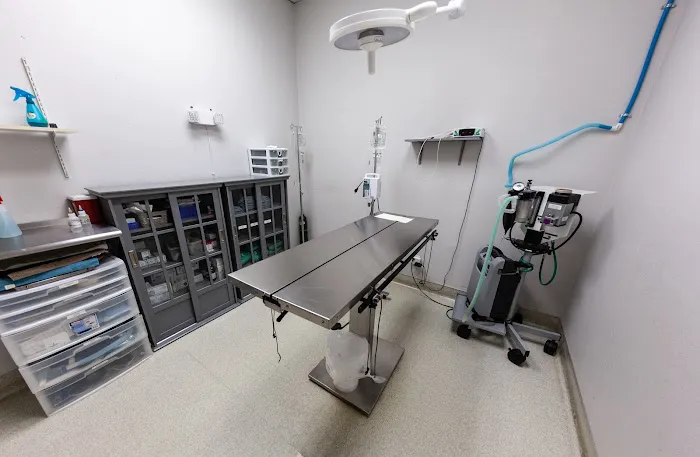 Hillsdale Animal Hospital Picture 5