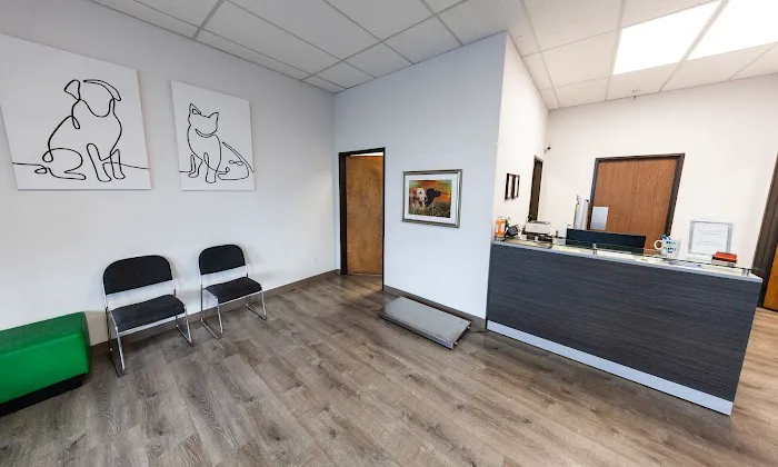 Hillsdale Animal Hospital Picture 4