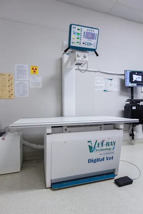 Hillsdale Animal Hospital Picture 9