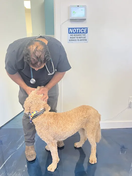 United Pet Hospital Sacramento Picture 1