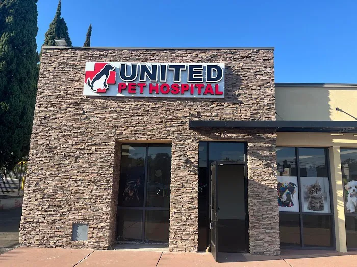 United Pet Hospital Sacramento Picture 3
