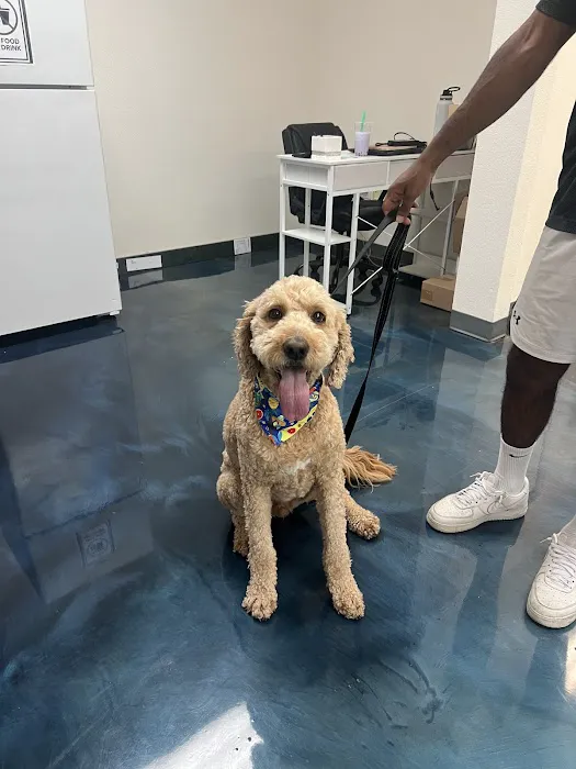United Pet Hospital Sacramento Picture 8