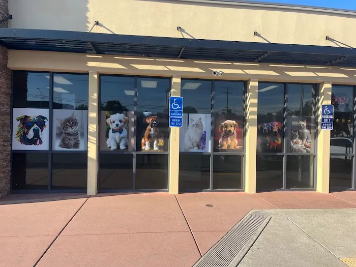 United Pet Hospital Sacramento Picture 6