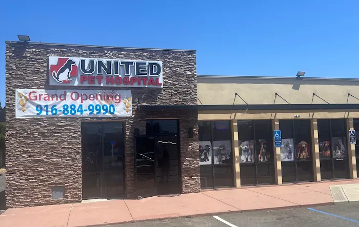 United Pet Hospital Sacramento Picture 10