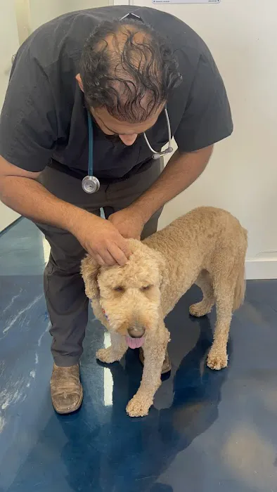 United Pet Hospital Sacramento Picture 9