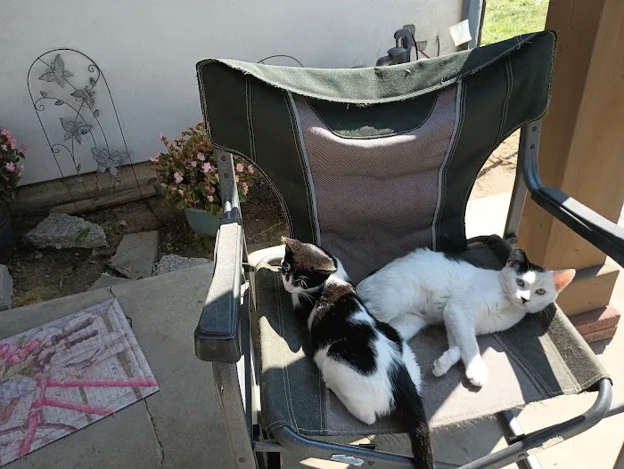 Community Spay Neuter Clinic Picture 3